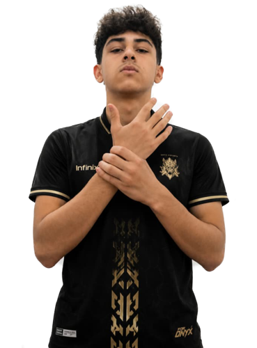 ONYXREFLEXINHo
