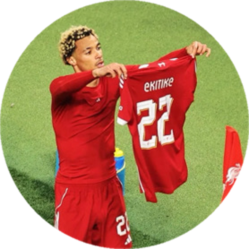 BLZBedo22