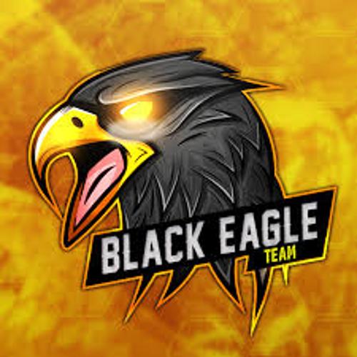 eaglehawk1903 logo