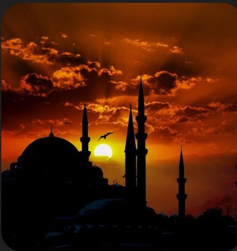 Doğukanabuny