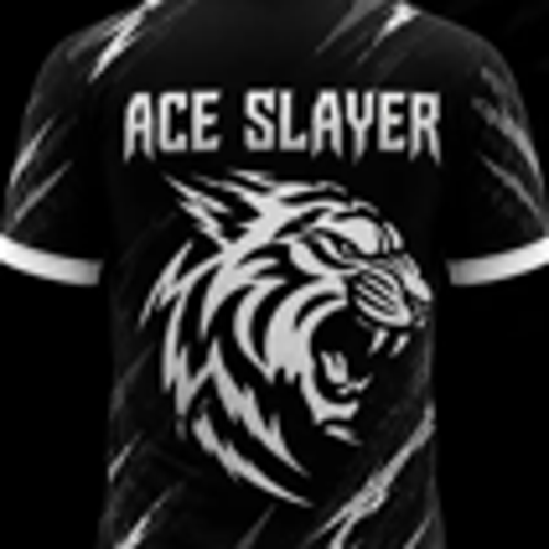 ACE丶SLaYeR