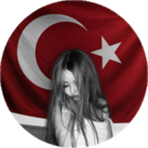 BUDSivaslıV4