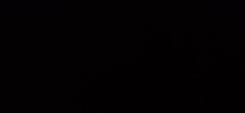 F25٭ंTYLER