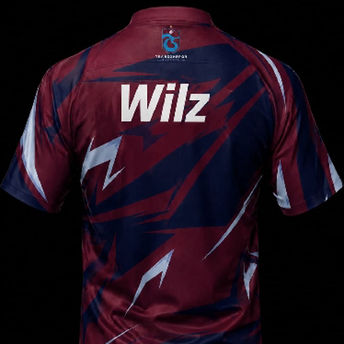 TS・Wilz