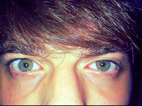 ωαяиıиgg#85610994 (4017)#4017