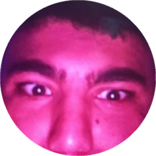 ŞHN丶BERKAY