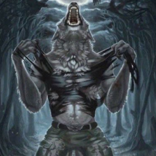 canmhammed1103@gmail.com