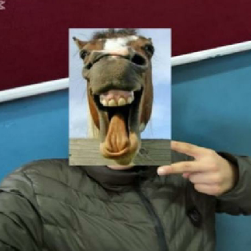 SilentnSniper