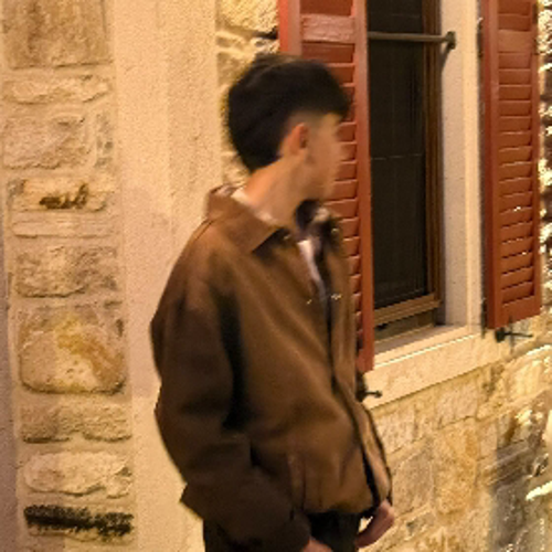 cudikarali1@gmail.com