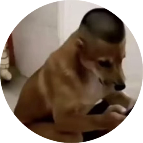 UNTDellyXXL