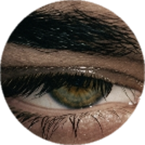 ZELDxASU