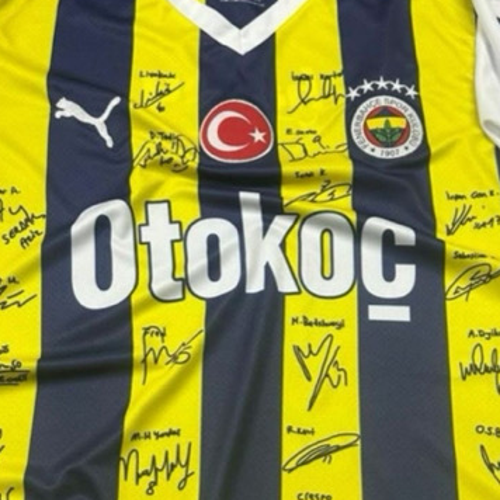 emirmuftuoglu6@gmail.com