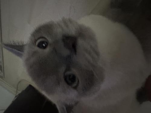 emrediyebiri12@gmail.com