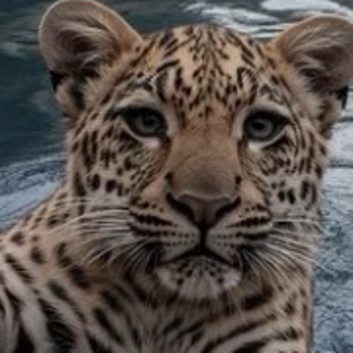 £ＳｋＯＢＡＲ