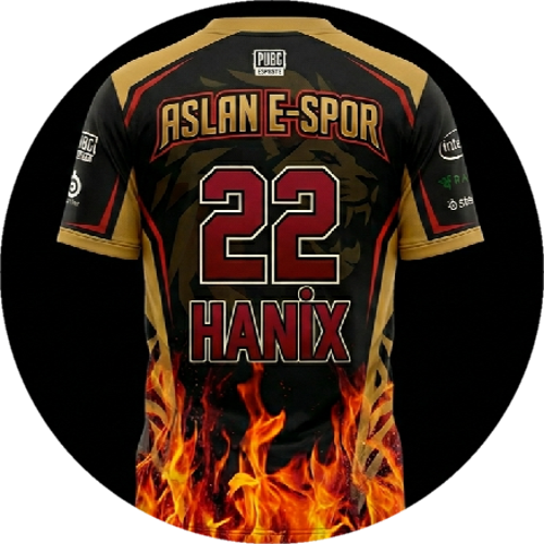 hamzacosgun7834@gmail.com