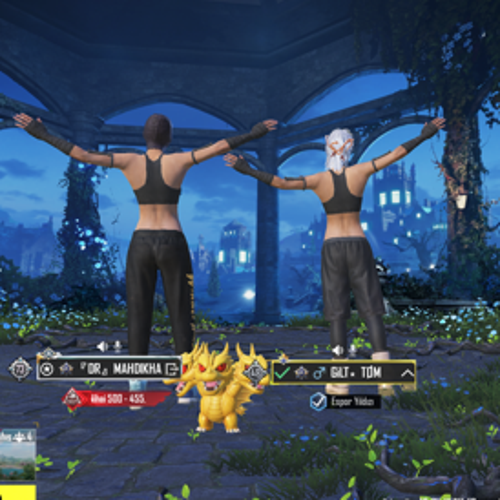 mahdihosseini467@gmail.com