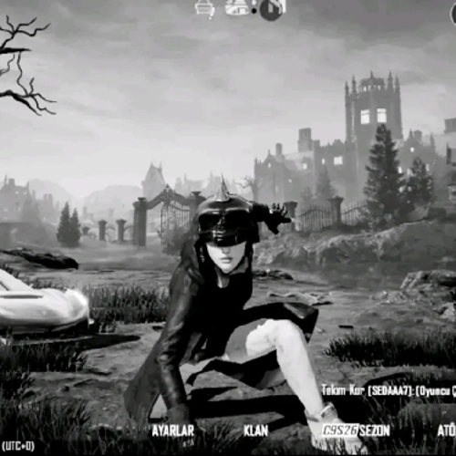 mehemmedelekberov05@gmail.com