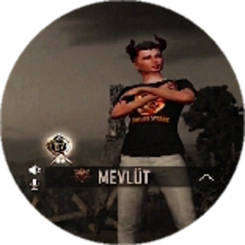 mevlut.gltkn6161@gmail.com