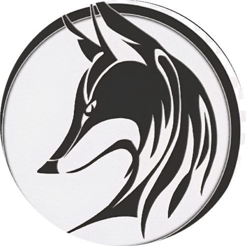 DFCTR丶Wolf