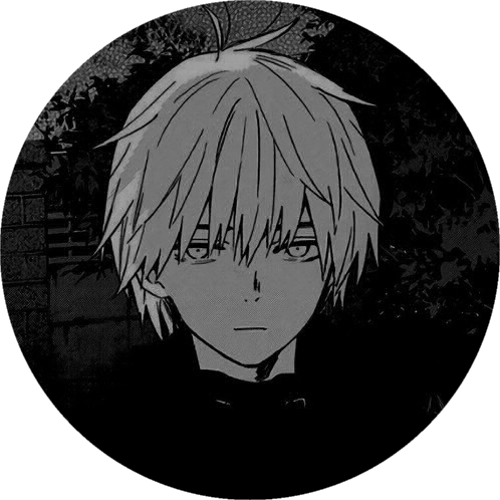 FMAHalleyimmo