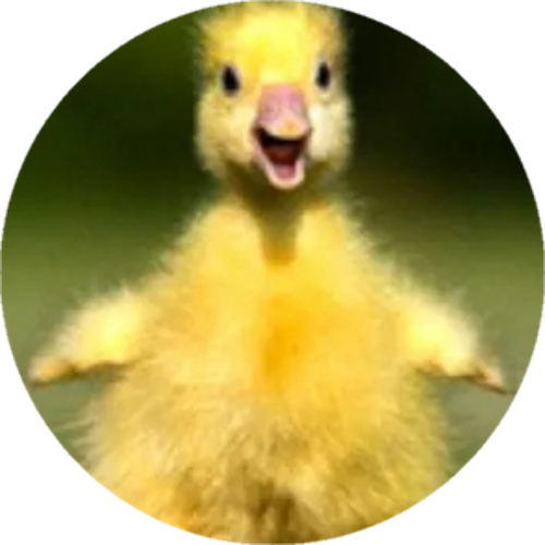 TTĵSWOXY