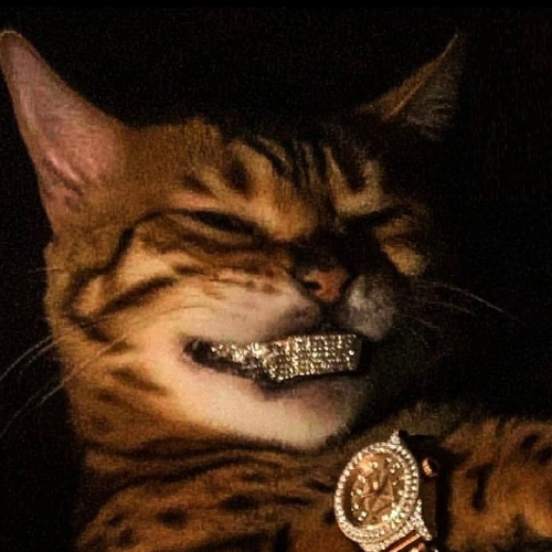 poyrazozturk806@gmail.com