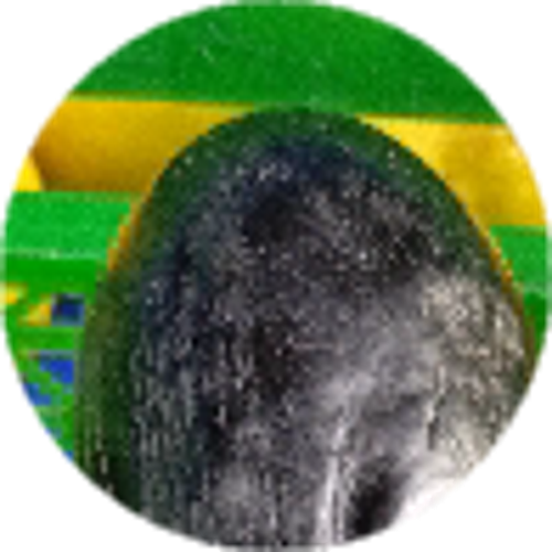 VFswos³¹Į