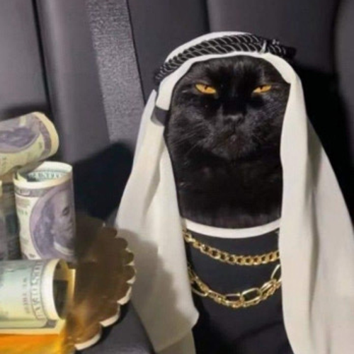 gpNISØ