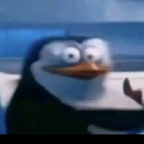 sdovnxeyal010@gmail.com