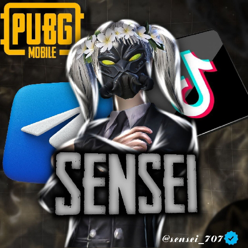 sensei.new.akk@gmail.com