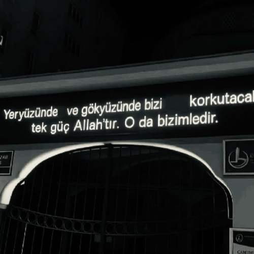 tariomer806@gmail.com