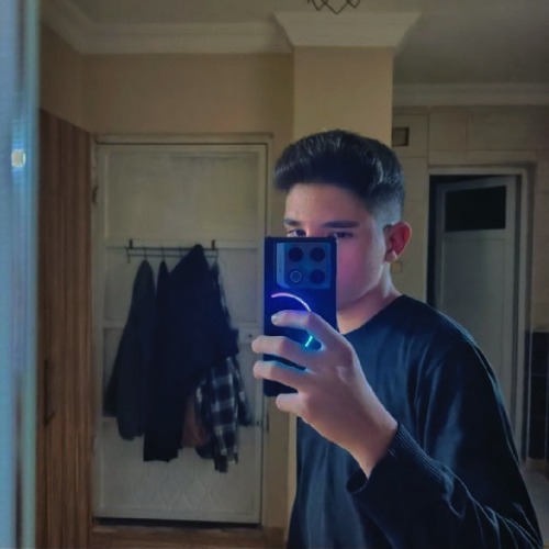 tashseyin019@gmail.com