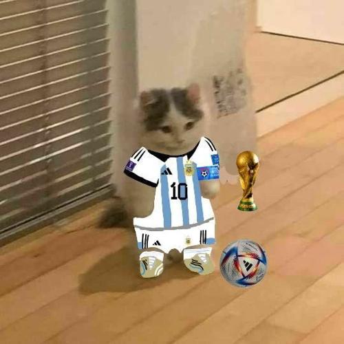 toprakalp500@gmail.com