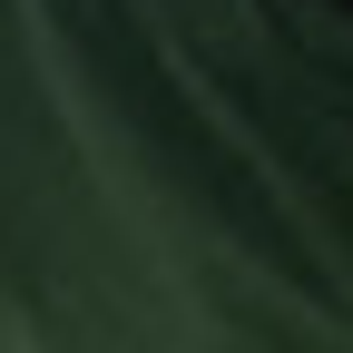 ttv474wcs8@privaterelay.appleid.com