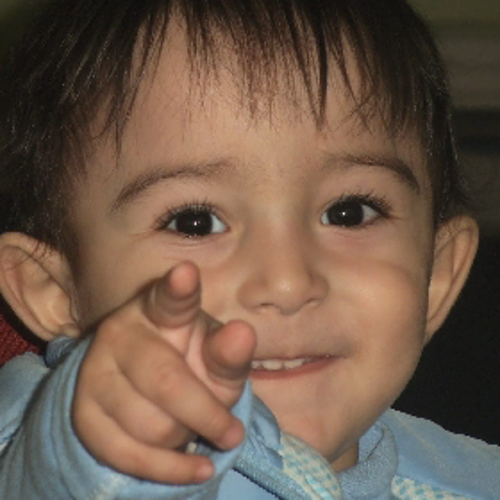 yavuznurullah23@gmail.com