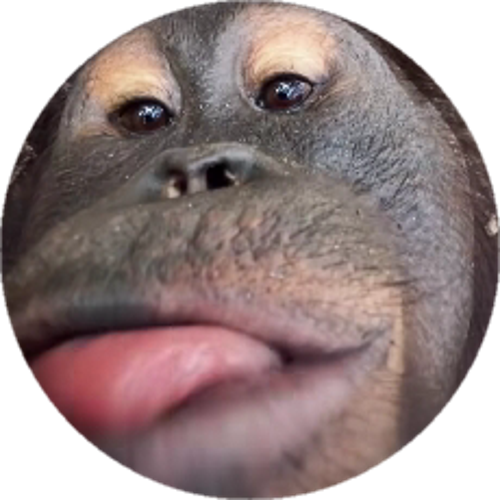 MZP亗Yusuff
