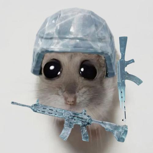 KARA丶AdaNali0