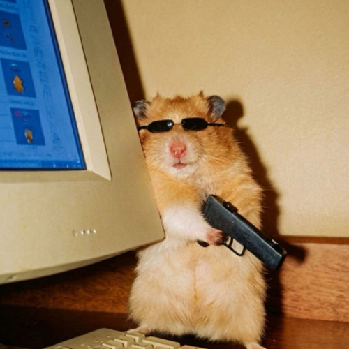 zlike_samp@icloud.com