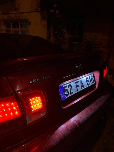 İlisegokdeniz@gmail.com