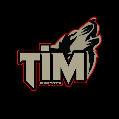 TiM Heroes logo