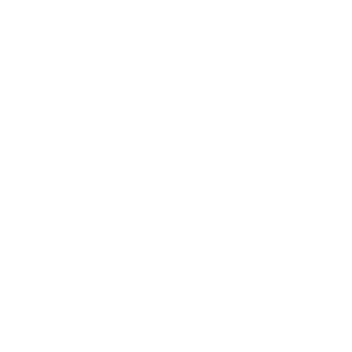 DD No Name logo