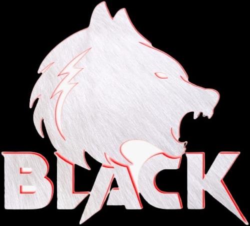 Black Gaming logo