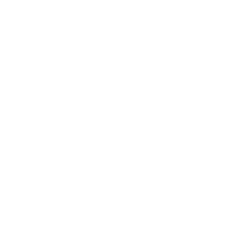 XTM E SPOR logo