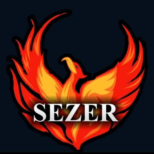 SEZER ESPOR ACADEMY logo