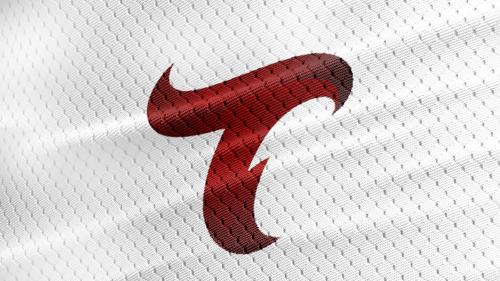 Tayrus Esports logo