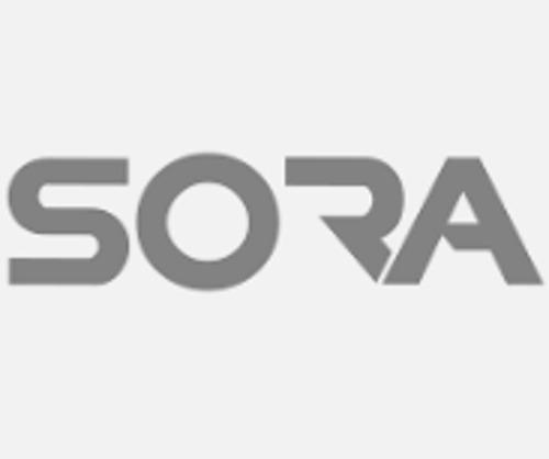 Sora Espor logo