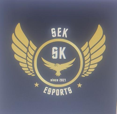 sek E Sports logo
