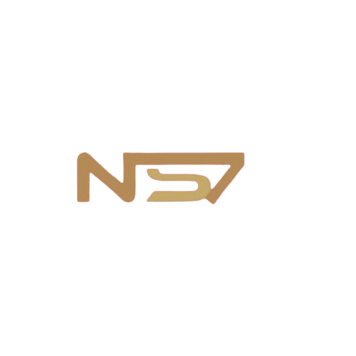 NS7 Esports logo