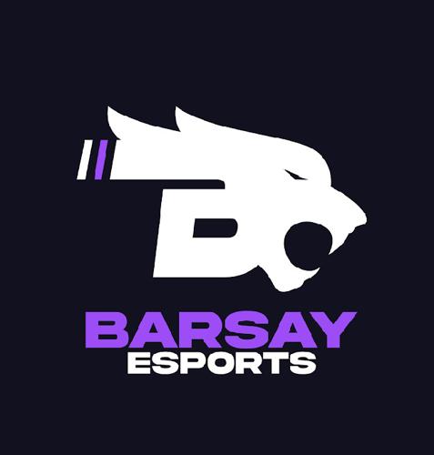 Barsay Esports logo