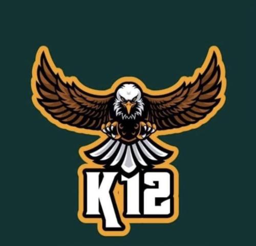 K12 E-spor logo